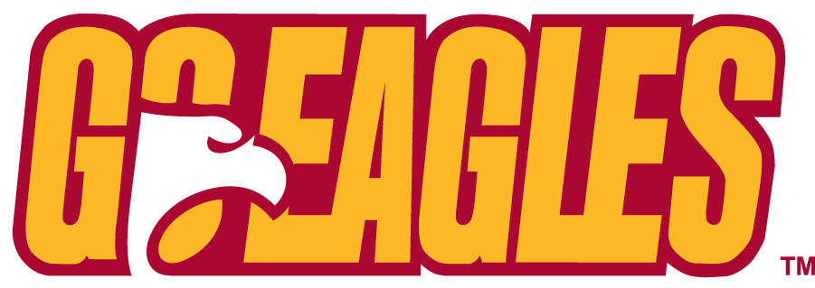 Winthrop Eagles 1995-2017 Alternate Logo diy iron on heat transfer